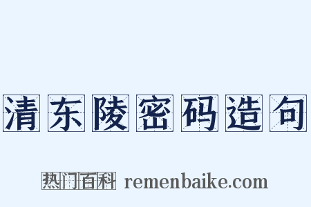 清东陵密码造句是什么意思的图片